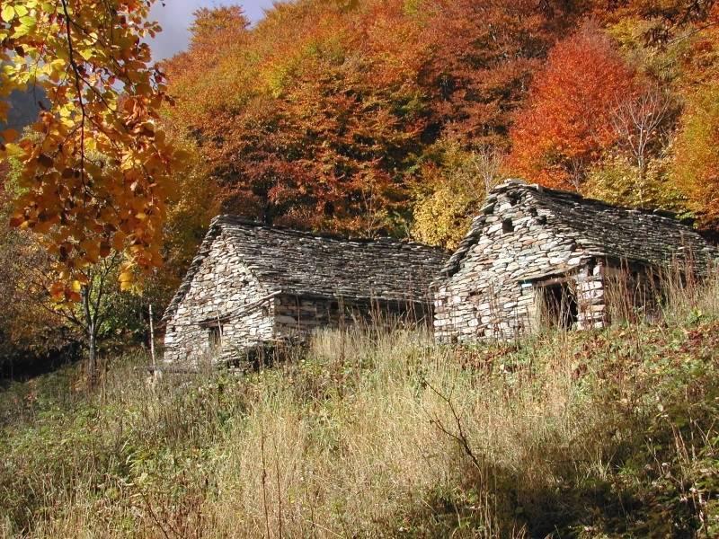 B&B Cip E Ciop Miazzina Buitenkant foto